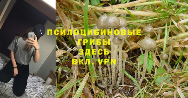 прущий лед Михайлов