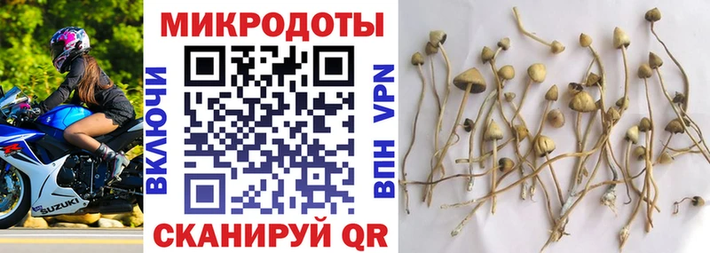 Купить  Пикалёво  Галлюциногенные грибы GOLDEN TEACHER 