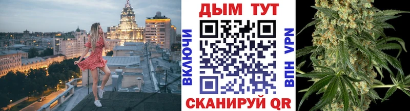 Купить где  Пикалёво  Конопля семена 